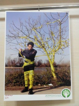 photo_2016-03-16_08-17-19