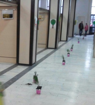 photo_2016-03-16_08-17-24