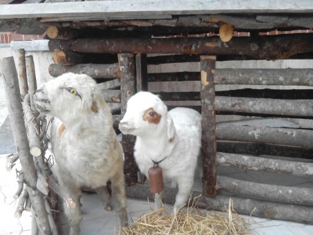 photo_2016-03-16_08-17-41