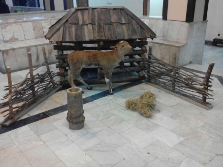 photo_2016-03-16_08-17-57