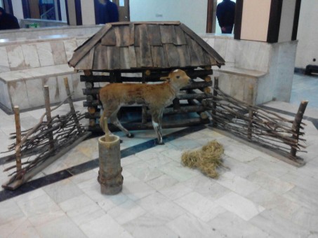 photo_2016-03-16_08-18-09