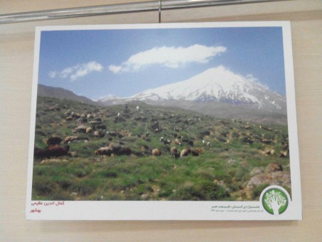 photo_2016-03-16_08-18-15