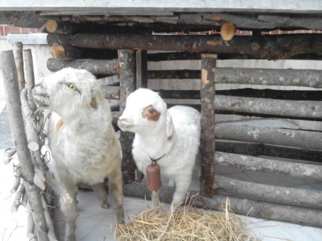 photo_2016-03-16_08-18-19