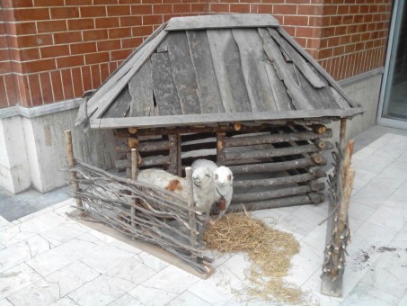 photo_2016-03-16_08-18-22