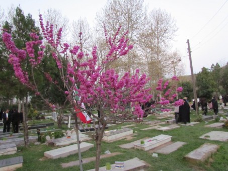 photo_2016-03-19_23-18-38