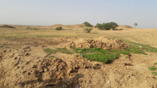 photo_2016-03-23_21-54-07