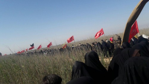 photo_2016-03-23_22-01-57