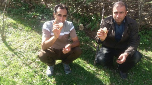 photo_2016-03-26_19-32-37