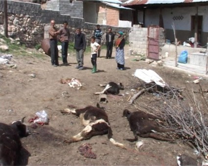 photo_2016-04-07_23-57-35