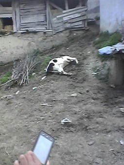 photo_2016-04-07_23-57-43