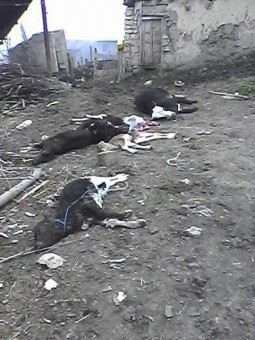 photo_2016-04-07_23-57-46