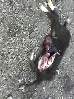 photo_2016-04-07_23-57-49