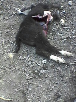 photo_2016-04-07_23-57-52