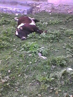 photo_2016-04-07_23-57-54