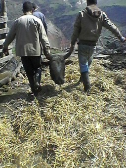 photo_2016-04-07_23-57-57