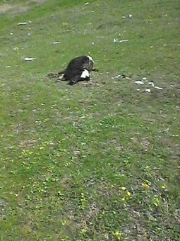 photo_2016-04-07_23-58-00