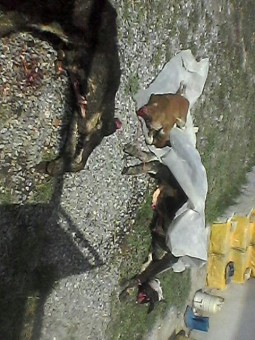 photo_2016-04-07_23-58-05