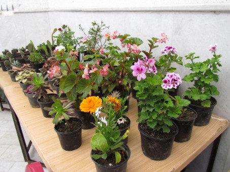 photo_2016-04-08_09-15-27