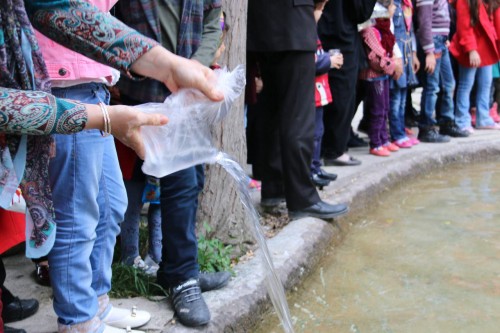 photo_2016-04-09_13-51-13