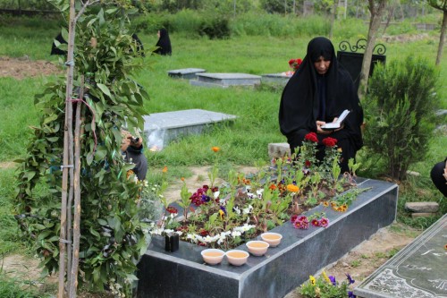 photo_2016-04-16_12-53-46