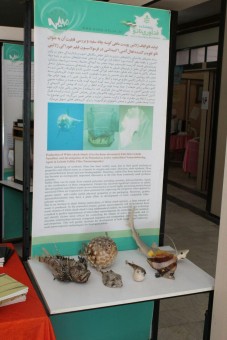 photo_2016-04-21_20-33-18