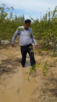 photo_2016-04-23_19-08-45