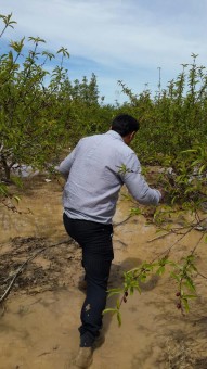 photo_2016-04-23_19-08-49