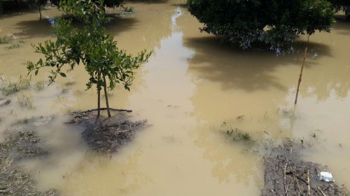 photo_2016-04-23_19-09-03