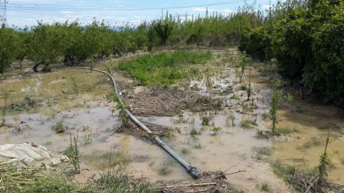 photo_2016-04-23_19-09-14