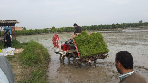 photo_2016-04-24_11-58-28