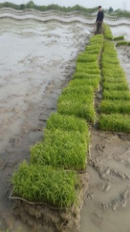 photo_2016-04-24_11-59-06