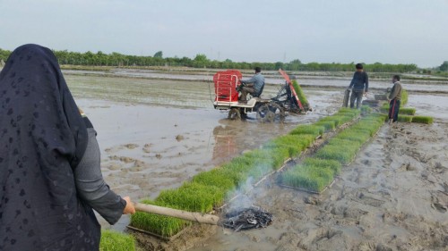 photo_2016-04-24_13-06-59