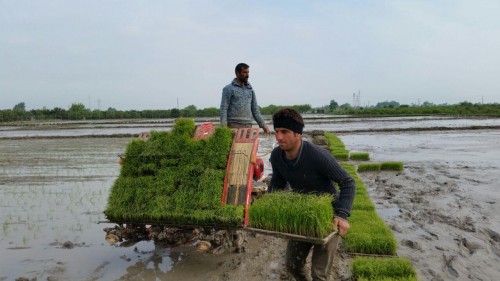 photo_2016-04-24_13-07-15