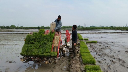 photo_2016-04-24_13-07-18