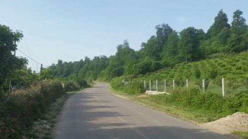 photo_2016-04-27_09-13-48