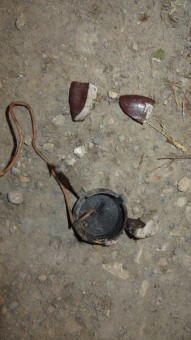 photo_2016-05-01_00-07-47