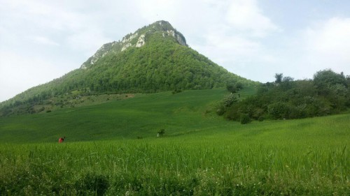 photo_2016-05-01_22-52-24