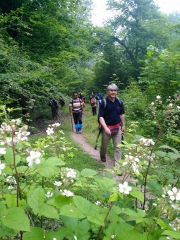 photo_2016-05-01_22-52-27