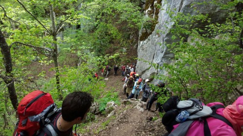 photo_2016-05-01_22-52-36