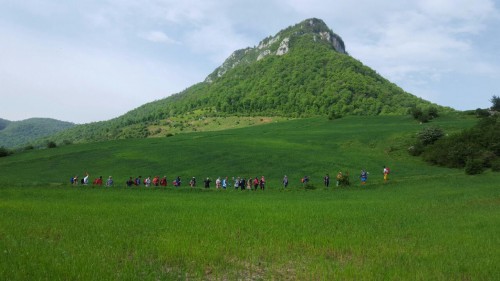 photo_2016-05-01_22-52-40