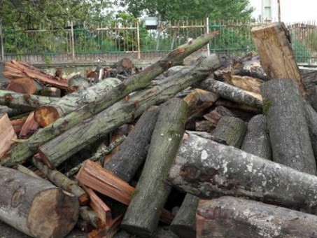 photo_2016-05-02_15-18-16