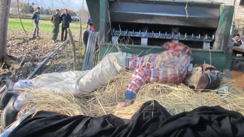 SHALKE-SHANDERMAN-931001-2