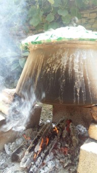 photo_2016-06-02_14-10-21