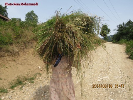 photo_2016-06-07_16-34-32