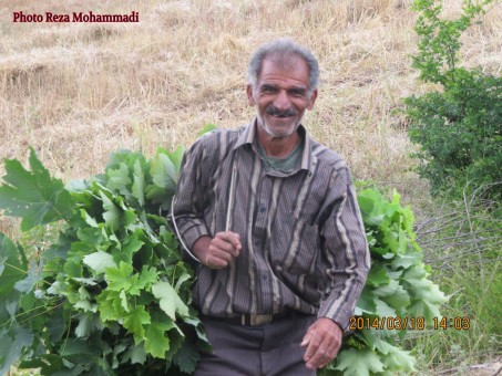 photo_2016-06-07_16-34-35