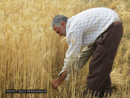 photo_2016-06-07_16-34-41