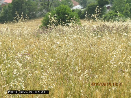 photo_2016-06-07_16-34-44