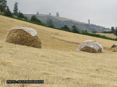 photo_2016-06-07_16-34-47