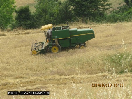 photo_2016-06-07_16-34-50