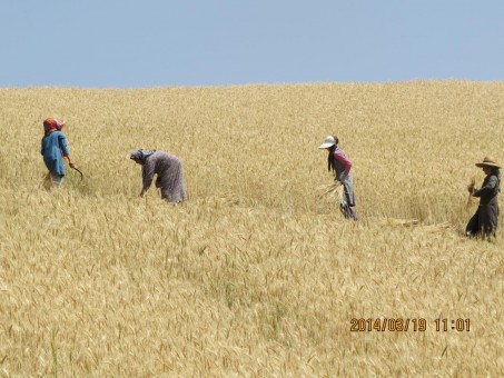 photo_2016-06-07_16-35-07